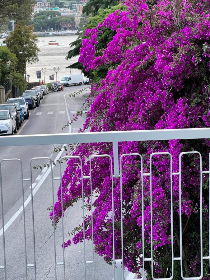Welcome Riviera -Torre D'Avorio Appartamento 126 Mq Piu'Terrazzo25 Mq - Totalmente Rinnovato- 250 M Dal Centro - Parcheggio A Pagamento 15 Euro Al Giorno Da Prenotare In Anticipo Salvo Dispo -Parking At 15 Euro Per Day To Be Booked In Advance If Avai Rapallo Buitenkant foto